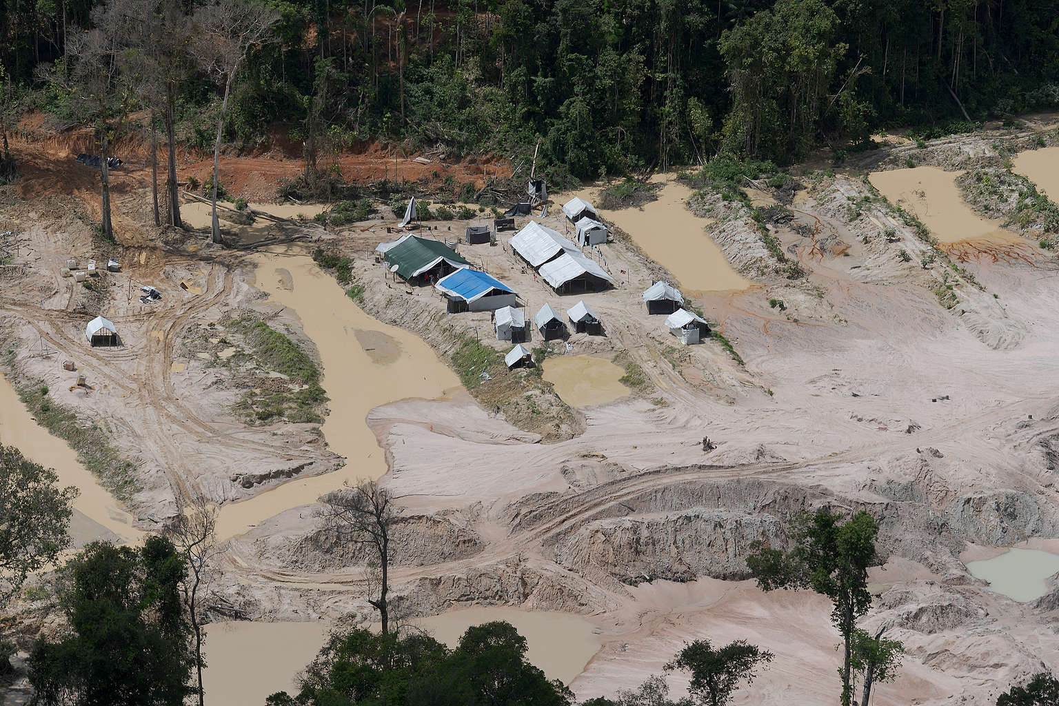 Amazônia: muito ouro e pouco desenvolvimento humano
