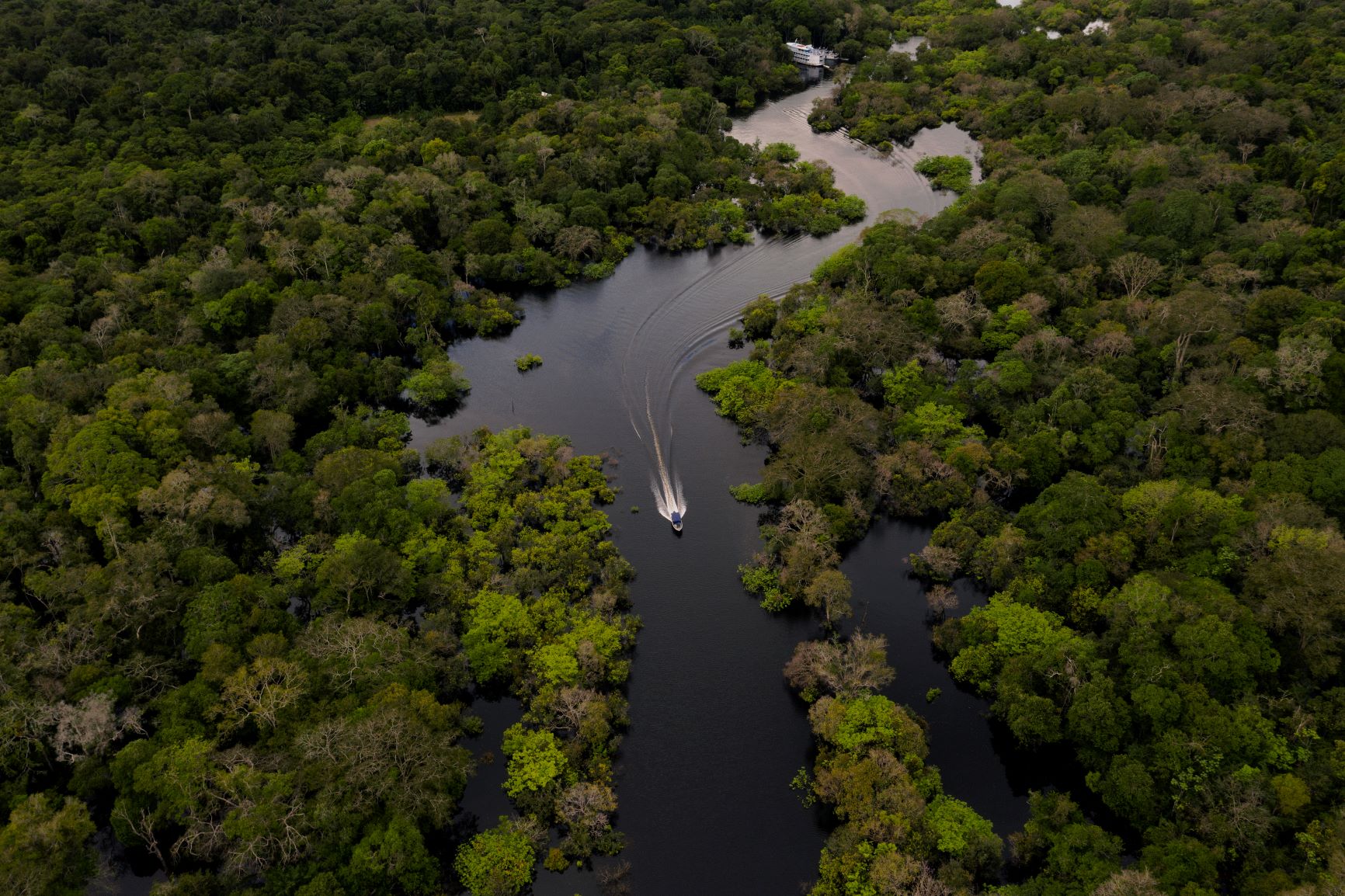 Amazônia no centro da geopolítica global