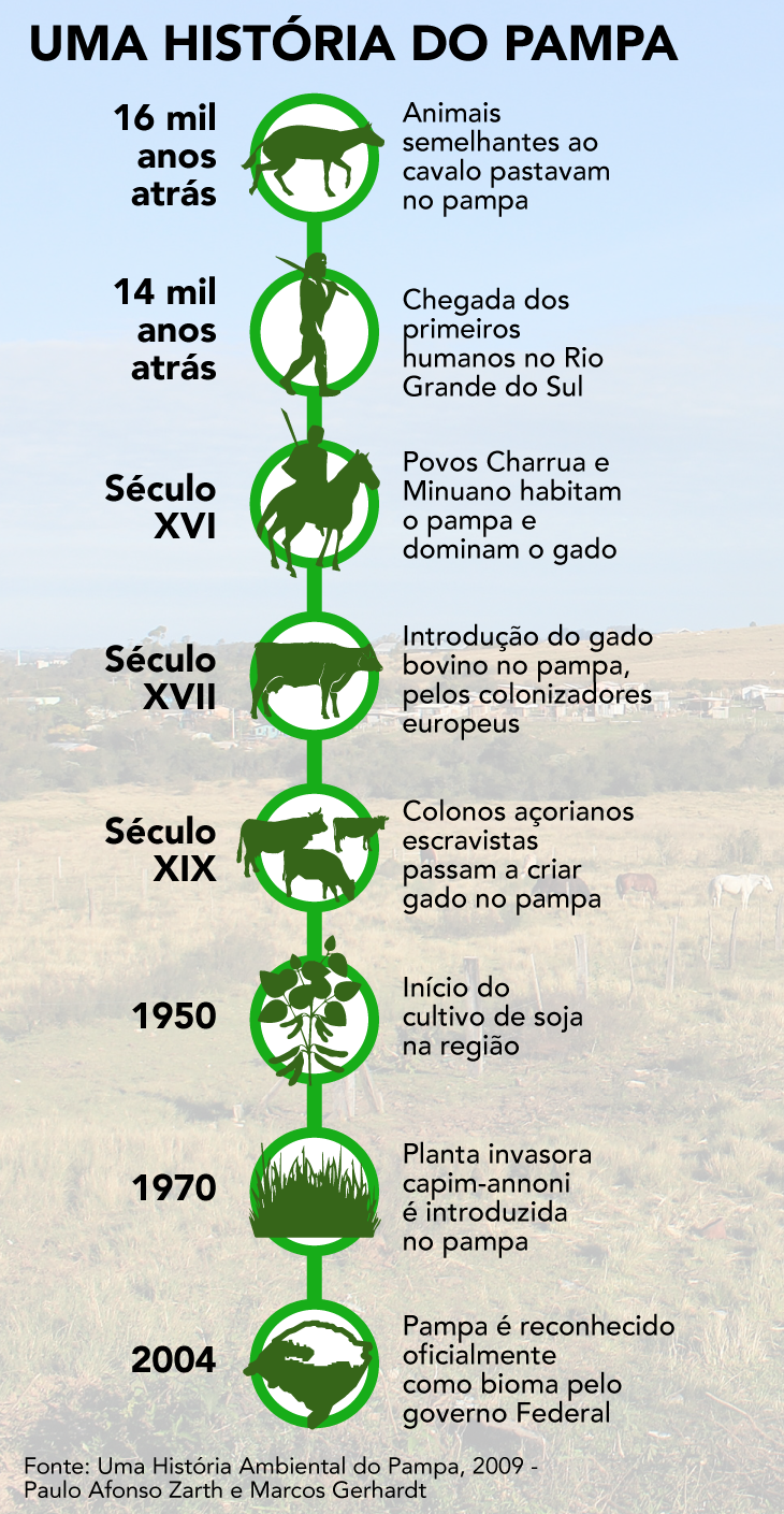 linha do tempo Pampa