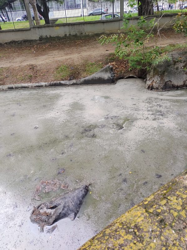 Episódios de derramamento de óleo no lago começaram no início de agosto. Foto RioÁguas