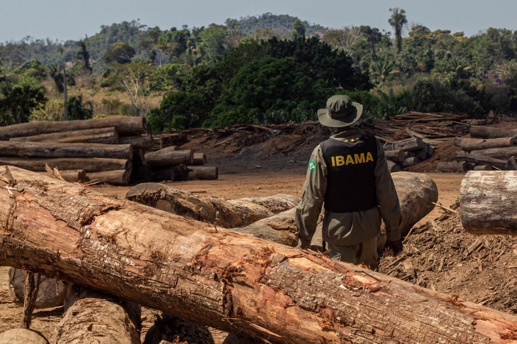 Operação de fiscalização do Ibama em 2018: documento de coalização com representantes do agronegócio e de ONGs ambientais propõe retomada de operações e outras cinco ações urgentes para reduzir desmatamento (Foto: Fernando Augusto/Ibama)