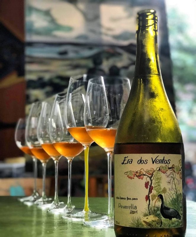 Vinho da Era dos Ventos: seis mil garrafas anuais de oito rótulos (Foto: divulgação)