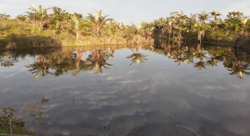 Lago na aldeia Pataxó: proximidade com o ponto onde os portugueses iniciaram a invasão do Brasil. Foto de Tamikuã Pataxó