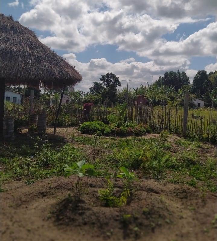 Horta na aldeia: respeito à natureza. Foto de Tamikuã Pataxó