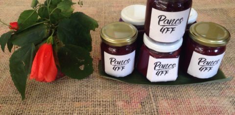 A equipe do Pancs UFF produziu mais de 50 estudos sobre espécies vegetais, incluindo um histórico de cada planta, características essenciais para sua identificação, usos alimentícios e medicinais, além de uma receita para cada espécie (Foto: Divulgação