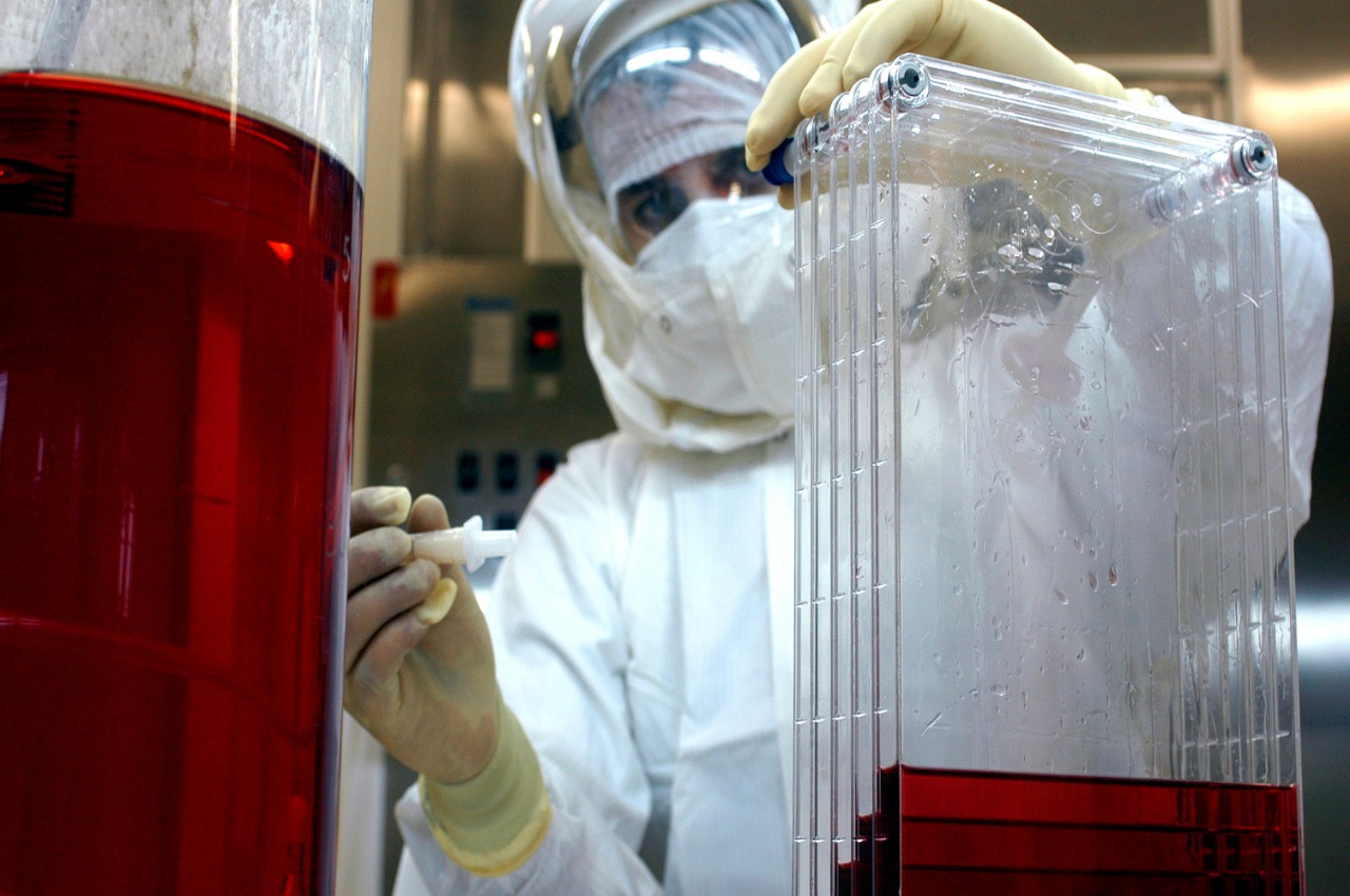 Pesquisa no laboratório da UFSC: fármacos com base em plantas comestíveis para bloquear enzima do coronavírus (Foto: UFSC/Divulgação)