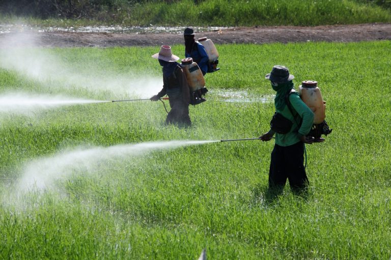 Agricultores pulverizam plantação com agrotóxicos: estudo mostra que maioria das intoxicações acontece em casa por problemas no armazenamento e no manejo e por falta de equipamentos de proteção (Foto: Agência Brasil)