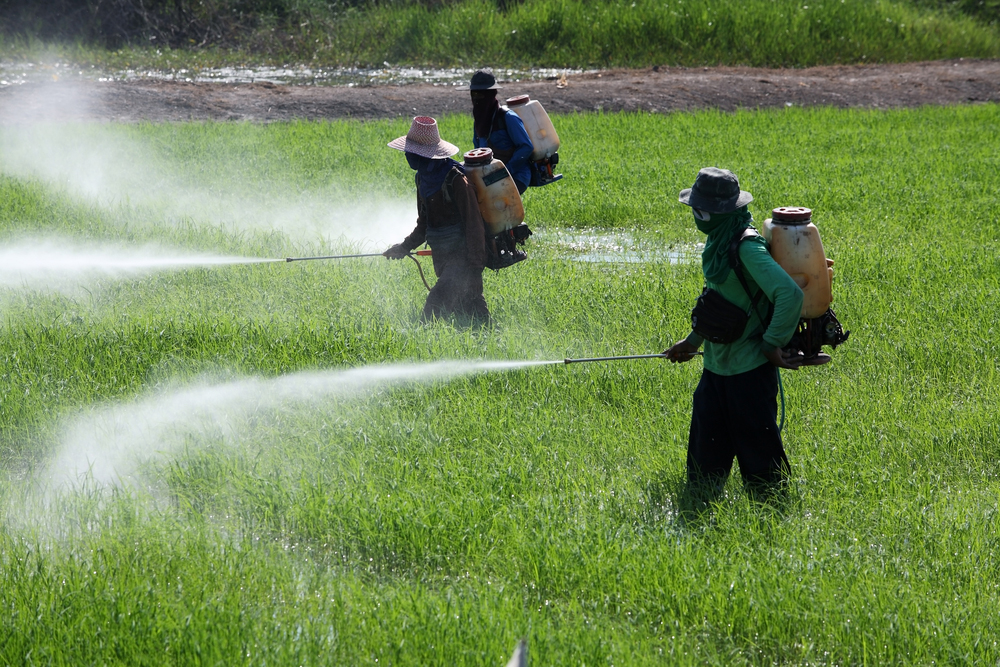 Agricultores pulverizam plantação com agrotóxicos: estudo mostra que maioria das intoxicações acontece em casa por problemas no armazenamento e no manejo e por falta de equipamentos de proteção (Foto: Agência Brasil)