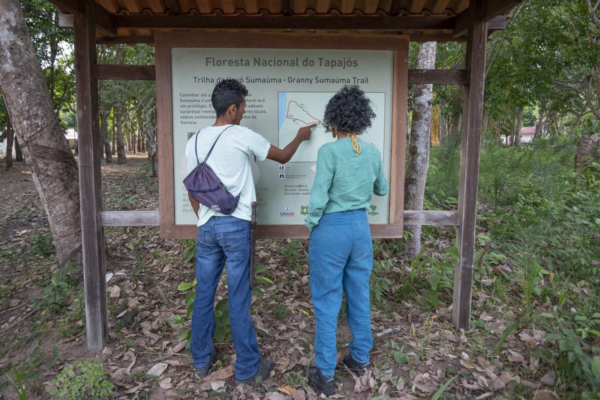 Guia da comunidade de Jamaraquá mostra para turista trilha na Flona Tapajós: reabertura de olho nos turistas brasileiros (Foto: Leonardo Milano/Amazônia Real)
