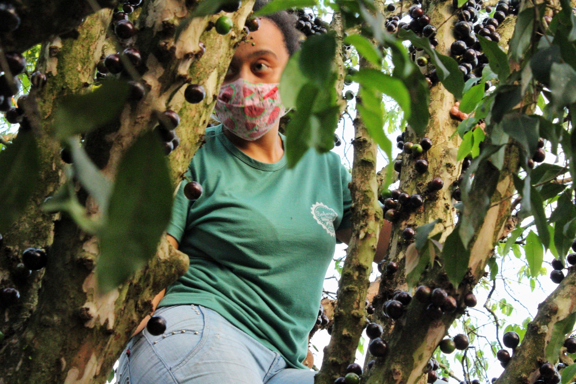 Agroecologia na batalha contra a fome que chegou com a pandemia