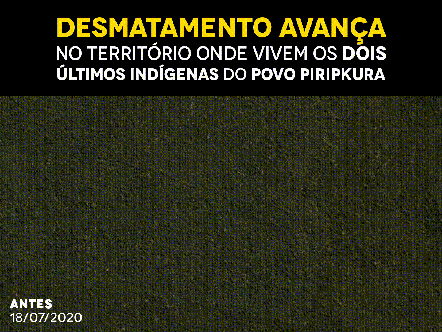 Arte do Instituto Socioambiental (ISA)