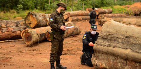 Militares em ação contra extração ilegal de madeira em Rondônia: custo de dois meses de operação na Amazônia daria para pagar o salário de mil fiscais do Ibama por um ano (Foto: Cabo Estevão/Centro de Comunicação do Exército)