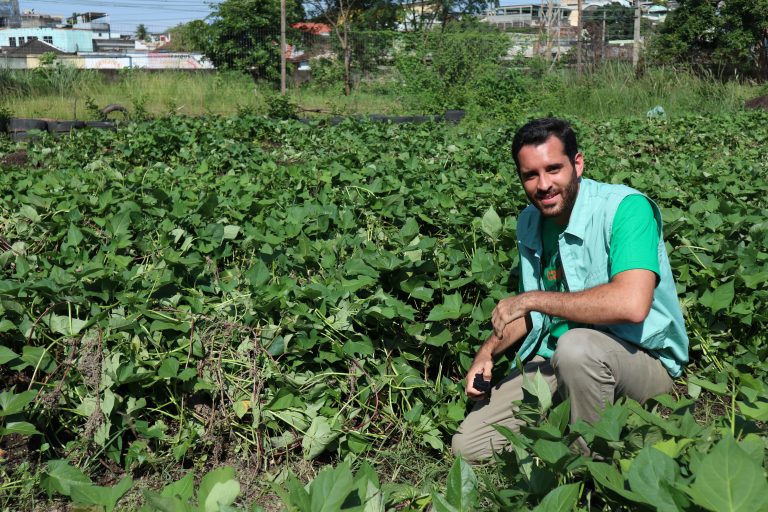 Eduardo Cavaliere, numa horta de batata doce em Honório Gurgel, na Zona Norte: "vamos precisar muito da articulação e parcerias com os setores da sociedade civil e da academia". Foto de divulgação