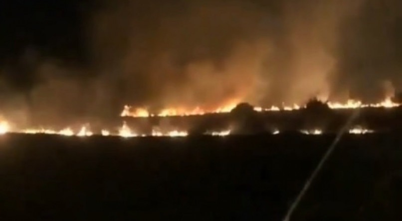 Queimada em área de restinga em Porto de Galinhas: ambientalistas culpam caça ilegal a caranguejo guaiamum e especulação imobiliária (Salve Maracaípe/Instagram)