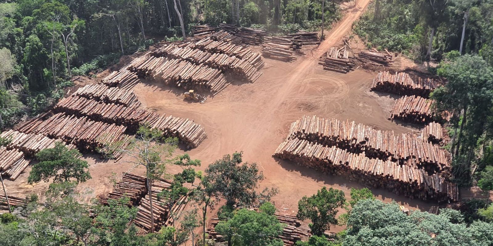 Apreensão recorde de madeira nativa da história do Brasil, feita pela Polícia Federal na divisa do Pará com o Amazonas: Ricardo Salles defendeu madeireiros (Foto: Exército Brasileiro/Agência Brasil)