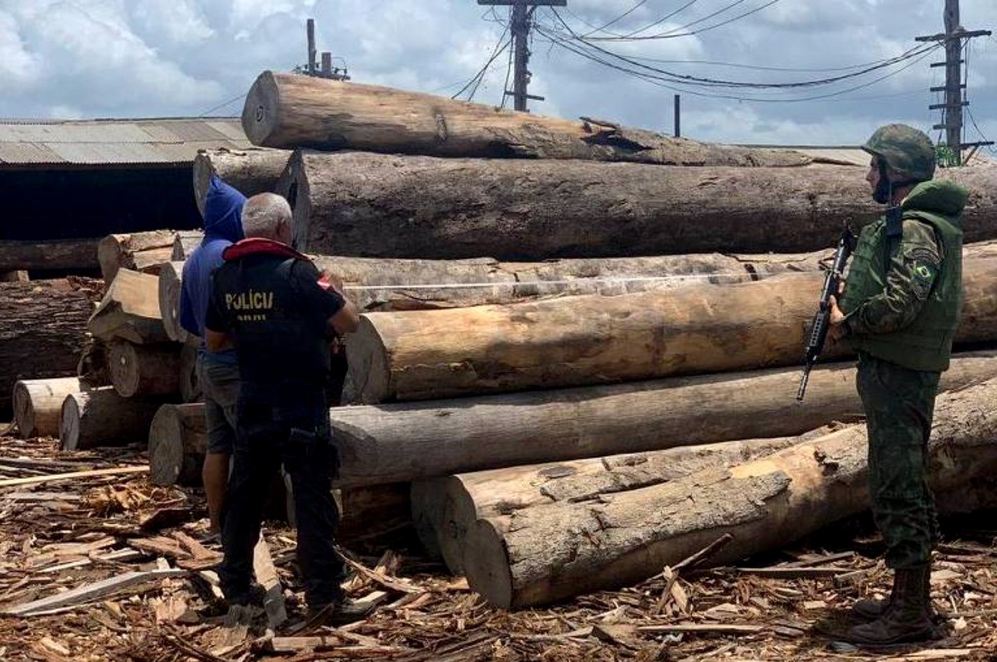 Agentes da Operação Handroanthus, da Polícia Federal e do Ibama, que resultou na maior apreensão de madeira da história: madeireiras pressionaram por liberação da carga com apoio do governo (Foto: Polícia Federal - 22/12/2020)