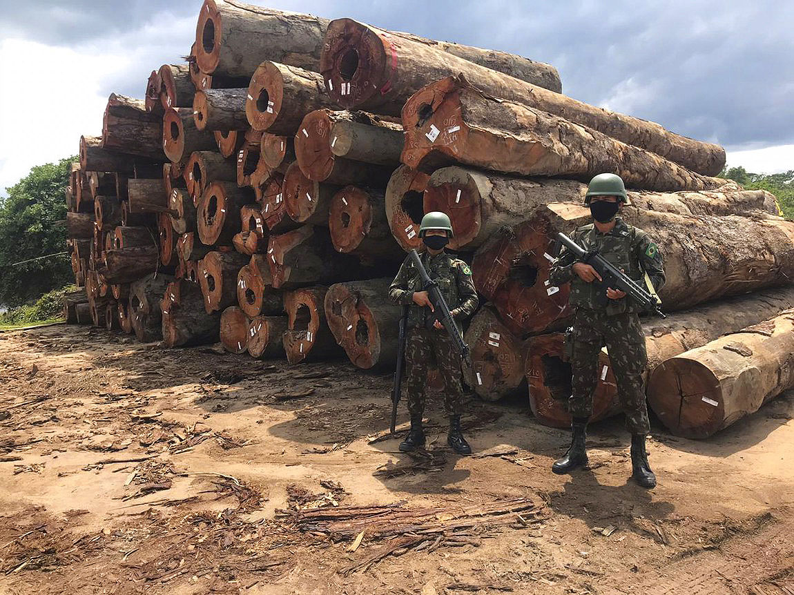 Militares da Operação Verde Brasil 2, em Santarém (Pará) com toras apreendidas: madeireiras usam informações falsas para "lavar" madeira ilegal (Foto: Ministério da Defesa/ Fotos Públicas - 26/12/2020)