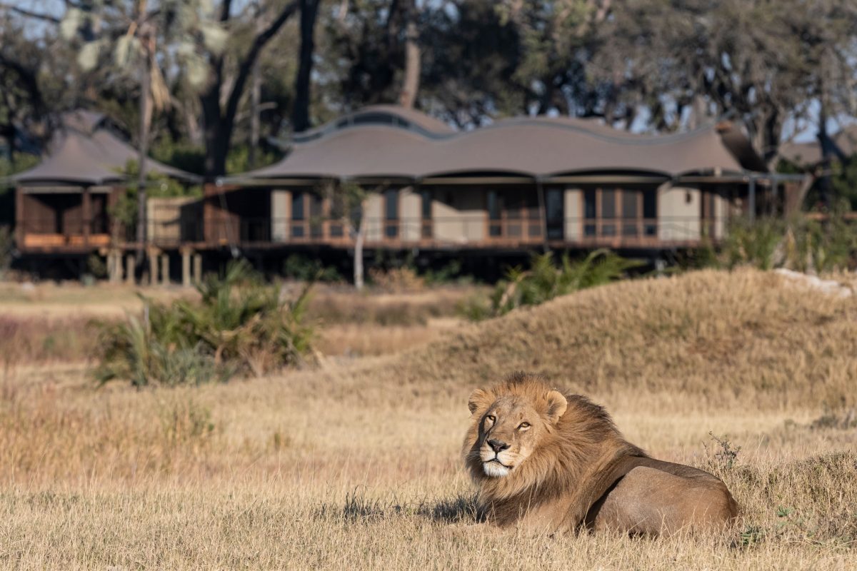 Hotelaria sustentável: Xigera Safari Lodge