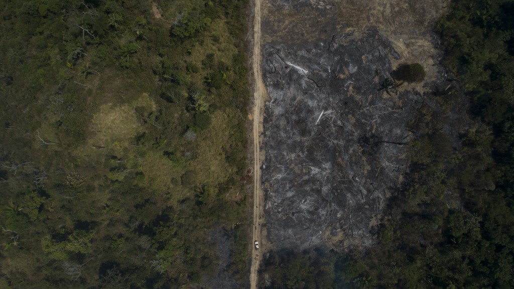 Território alvo de desmatamento em Novo Progresso, Pará: alertas de desmatamento do Inpe em maio de 2021 foram recorde para o mês, passando de mais de mil quilômetros da área desmatada - (Foto: Fernando Souza / AGIF / AFP - 15/082020)