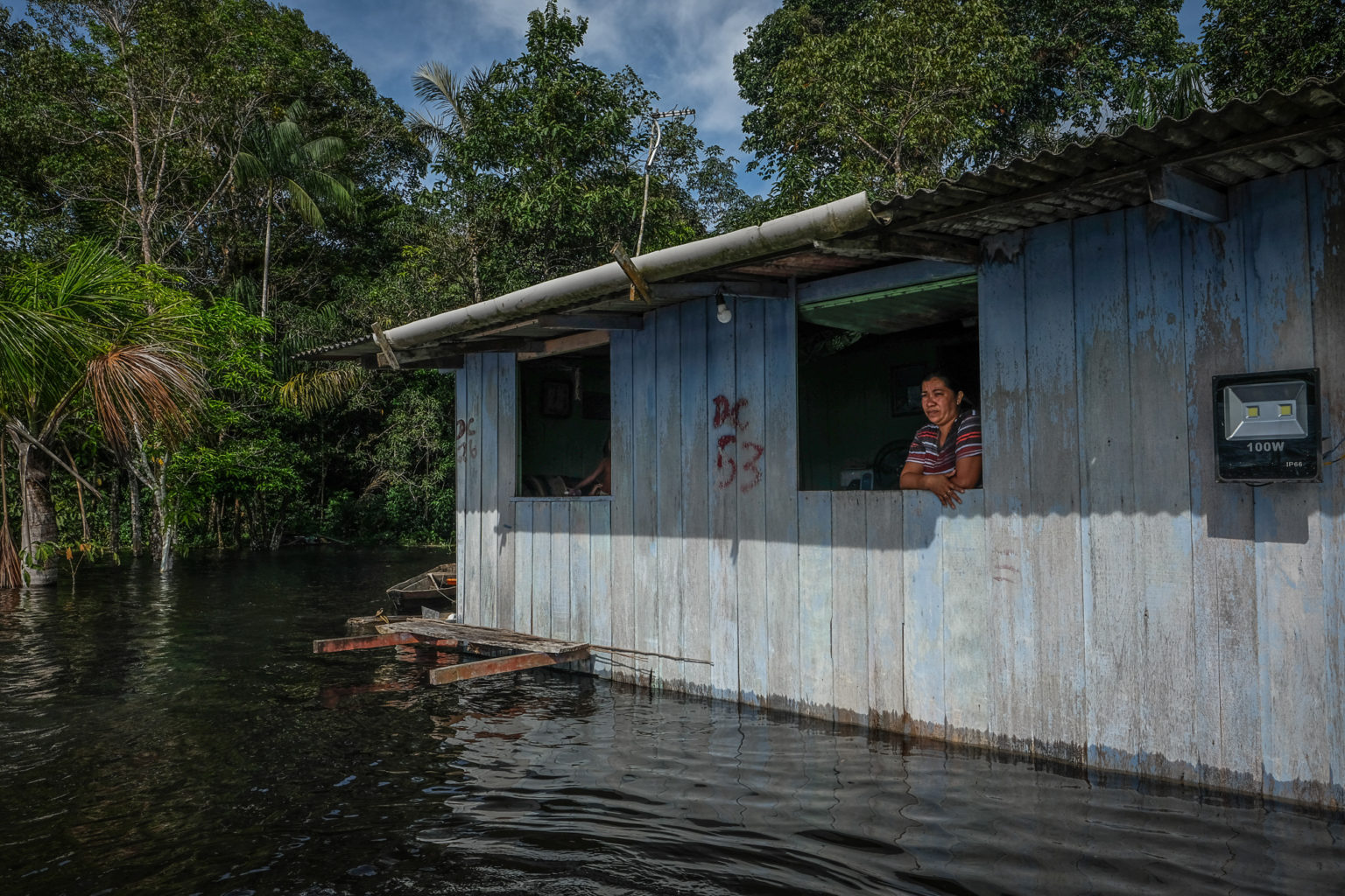 Na comunidade do Mainã, dona Kátia Vasconcelos observa a subida das águas: animais e plantações perdidas na zona rural de Manaus (Foto: Alberto César Araújo/Amazônia Real - 24/05/2021)