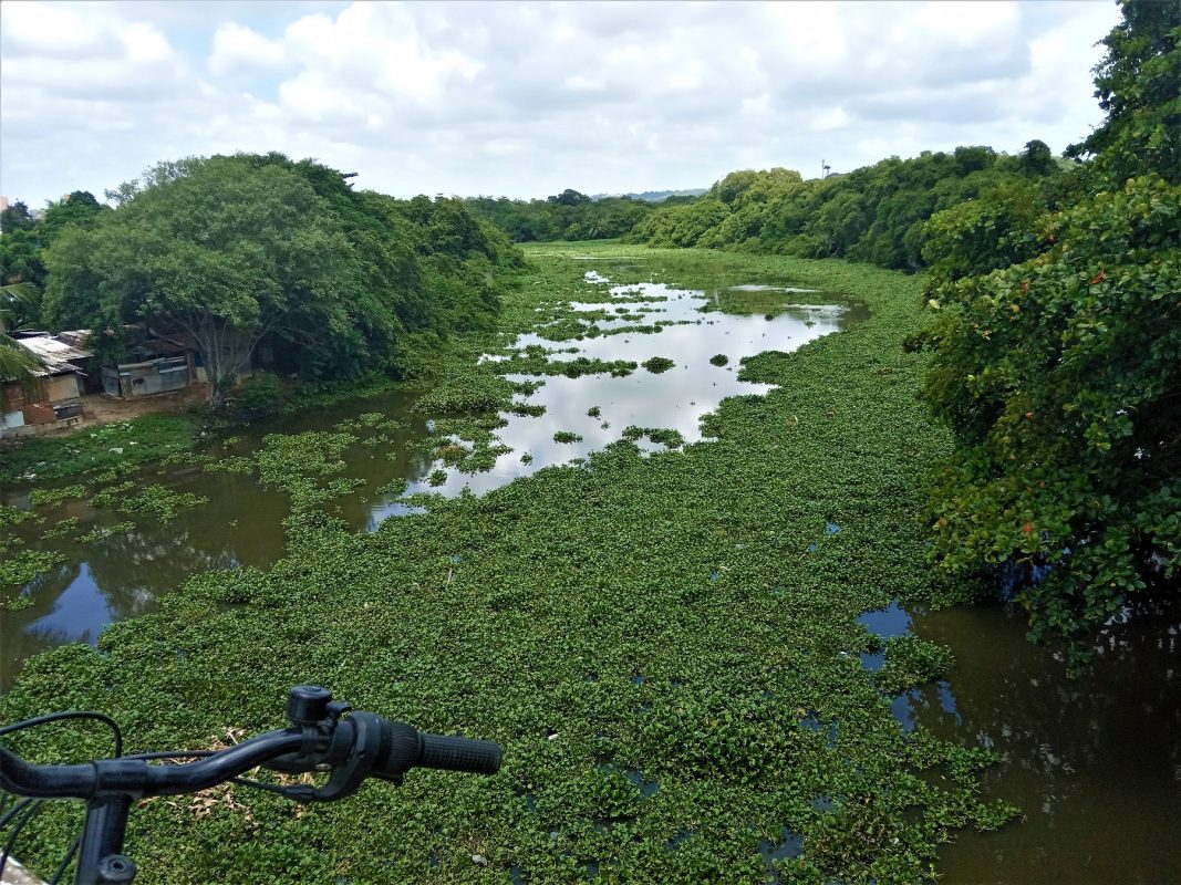 Rio Capibaribe: onde começa a jornada de 170km de bicicleta pelo Recife | Foto de Victor Moura
