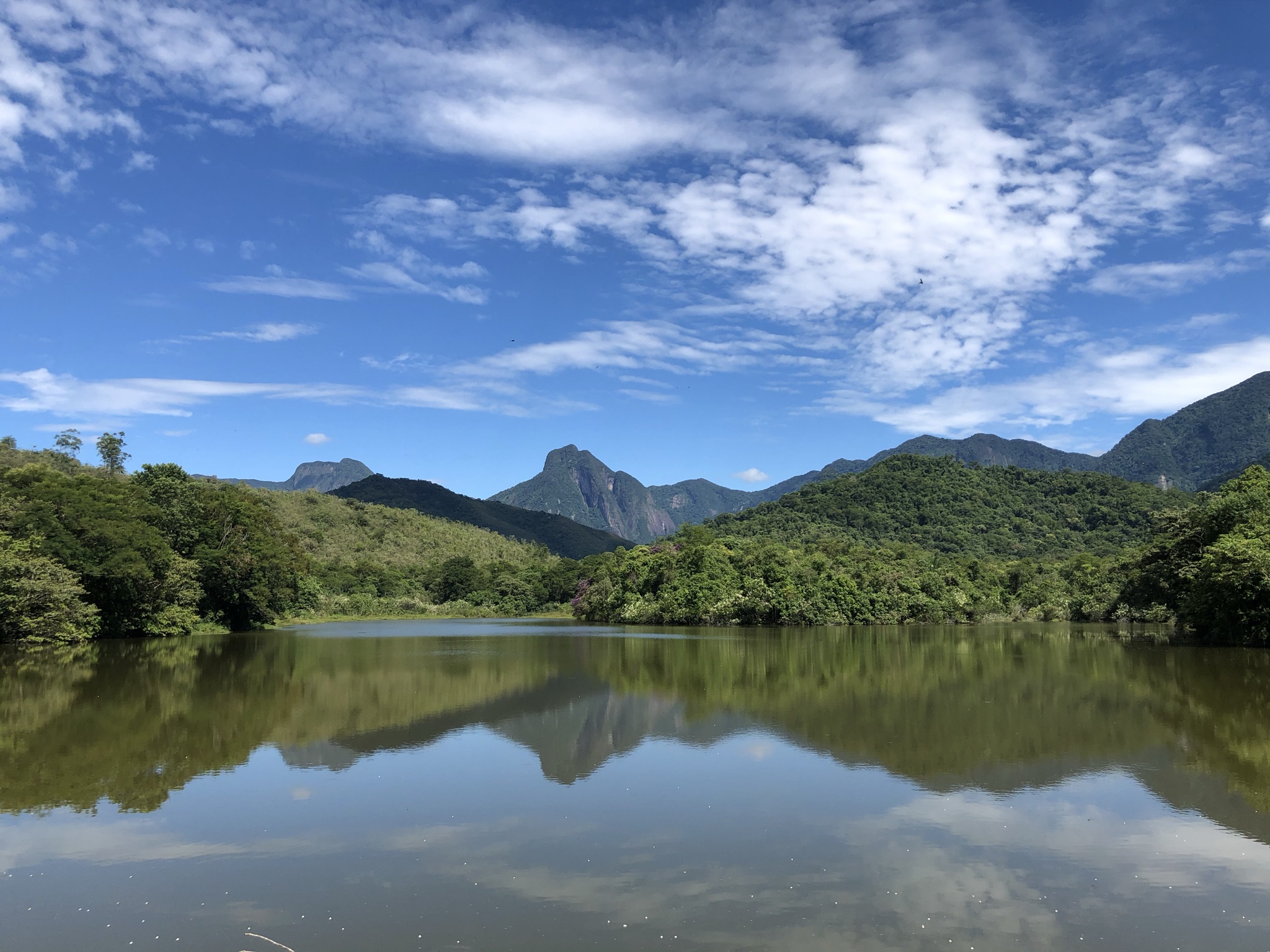 Reserva Ecológica de Guapiaçu, em Cachoeiras de Macacu (RJ): restauração da Mata Atlântica. Foto Tatiana Horta