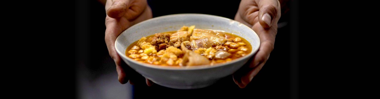Pratos de comida