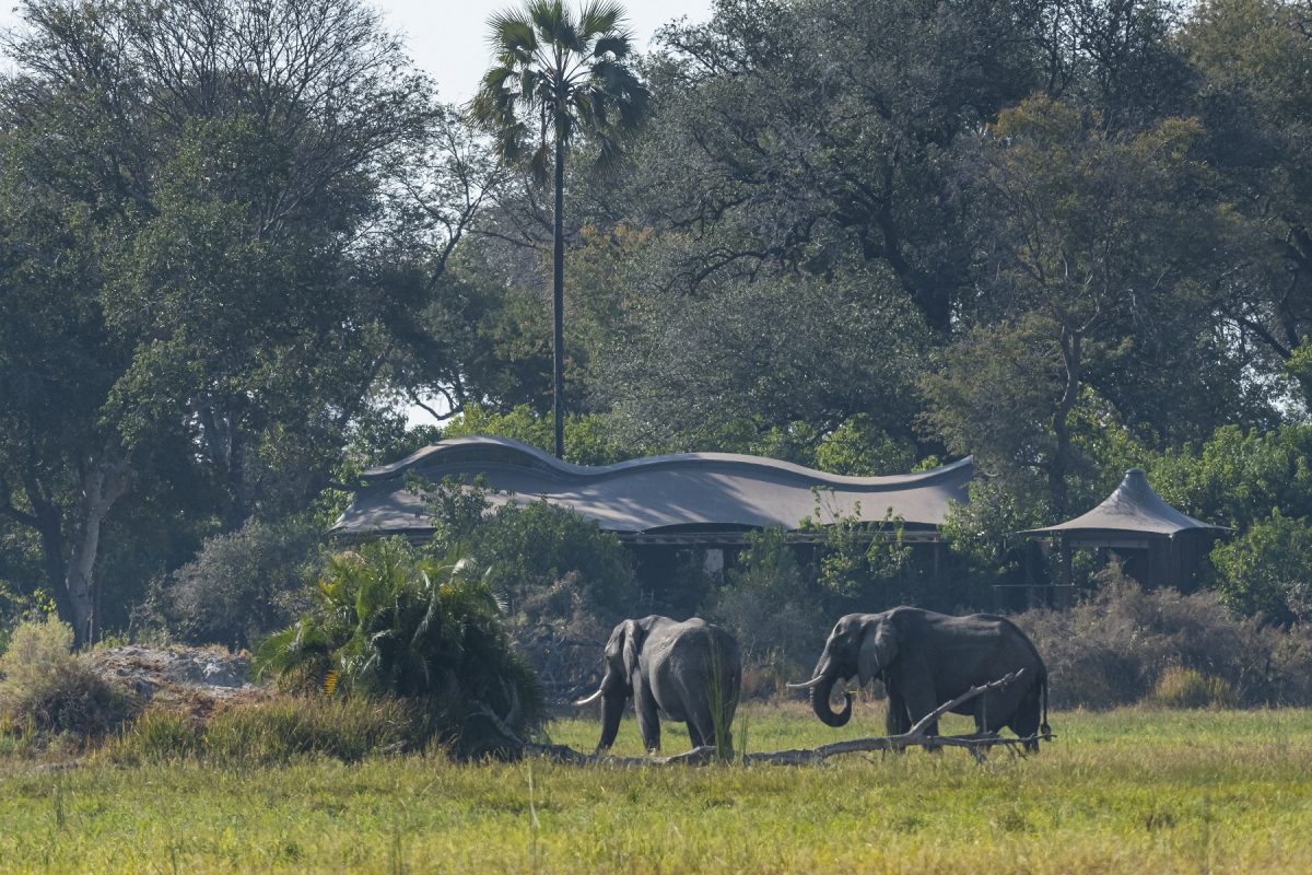 Hotel sustentável: Xigera Safari Lodge