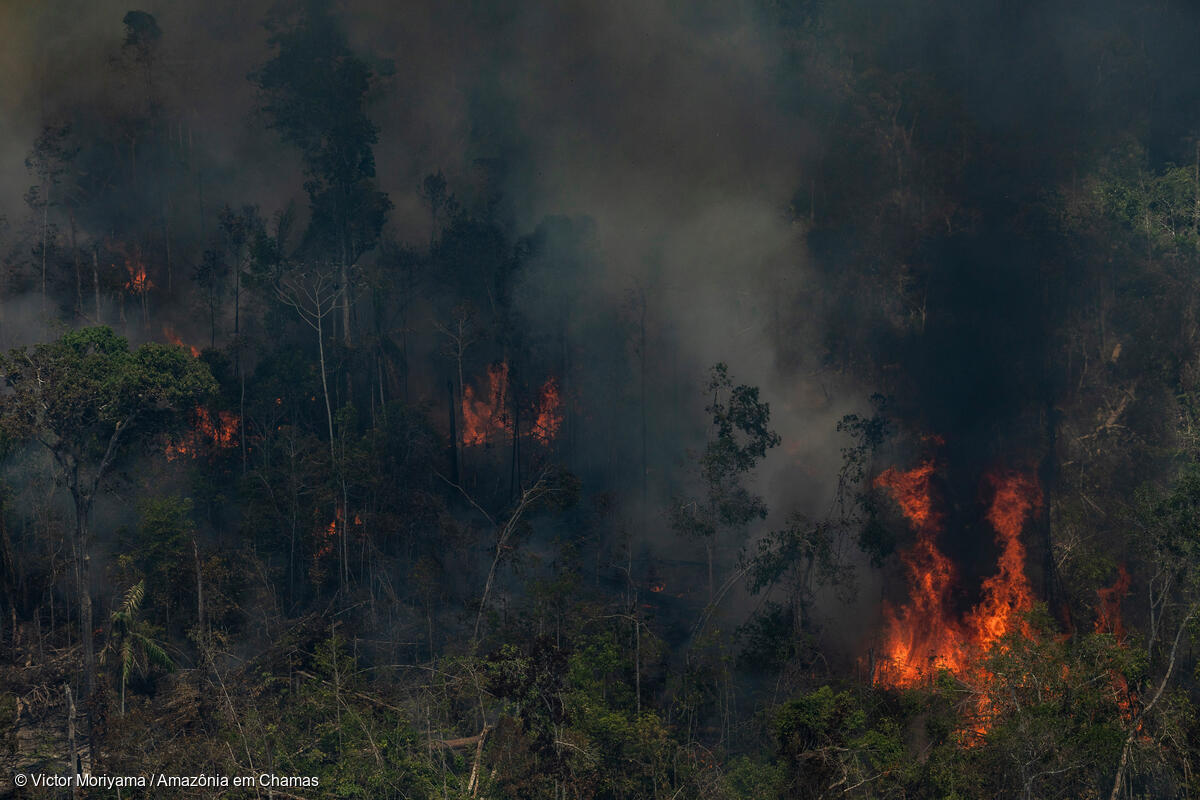 Incêndio florestal em área degradada, em processo de desmatamento, em Novo Aripuanã, Amazonas: estado registrou 12 mil focos de calor desde o começo do ano, recorde no país ((Foto: Victor Moriyama/Amazônia em Chamas - 17/09/2021)