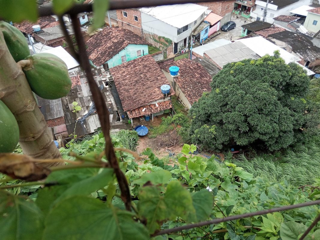 Vista do Alto Nova Olinda