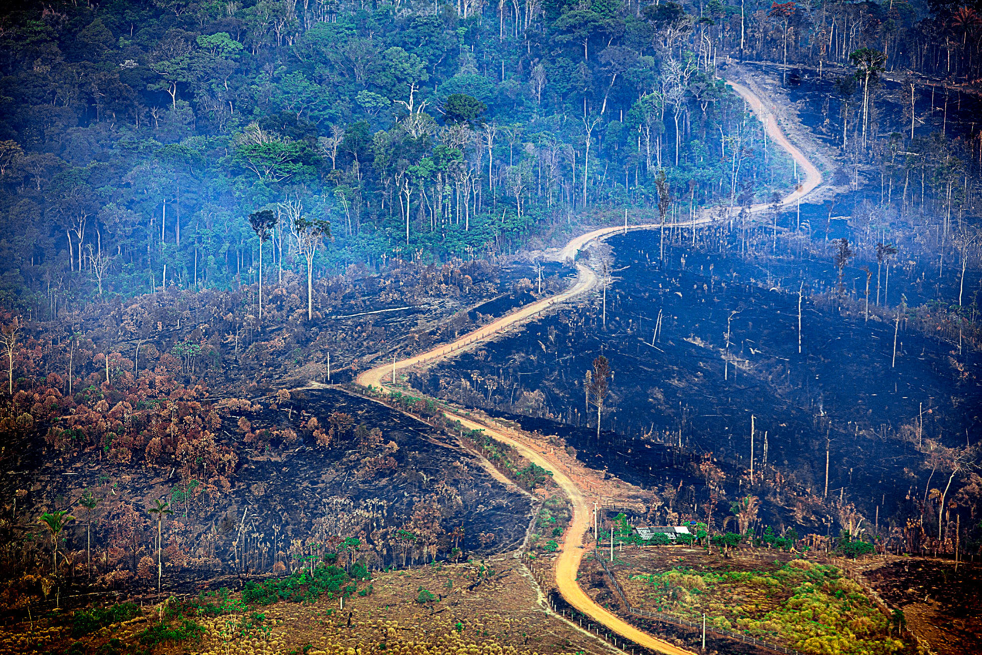 Amazônia na encruzilhada