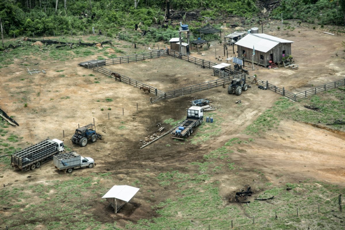 Caminhões e tratores dentro da terra indígena: disparada de invasões em 2020 e 2021 (Foto: Rogério Assis/ISA)