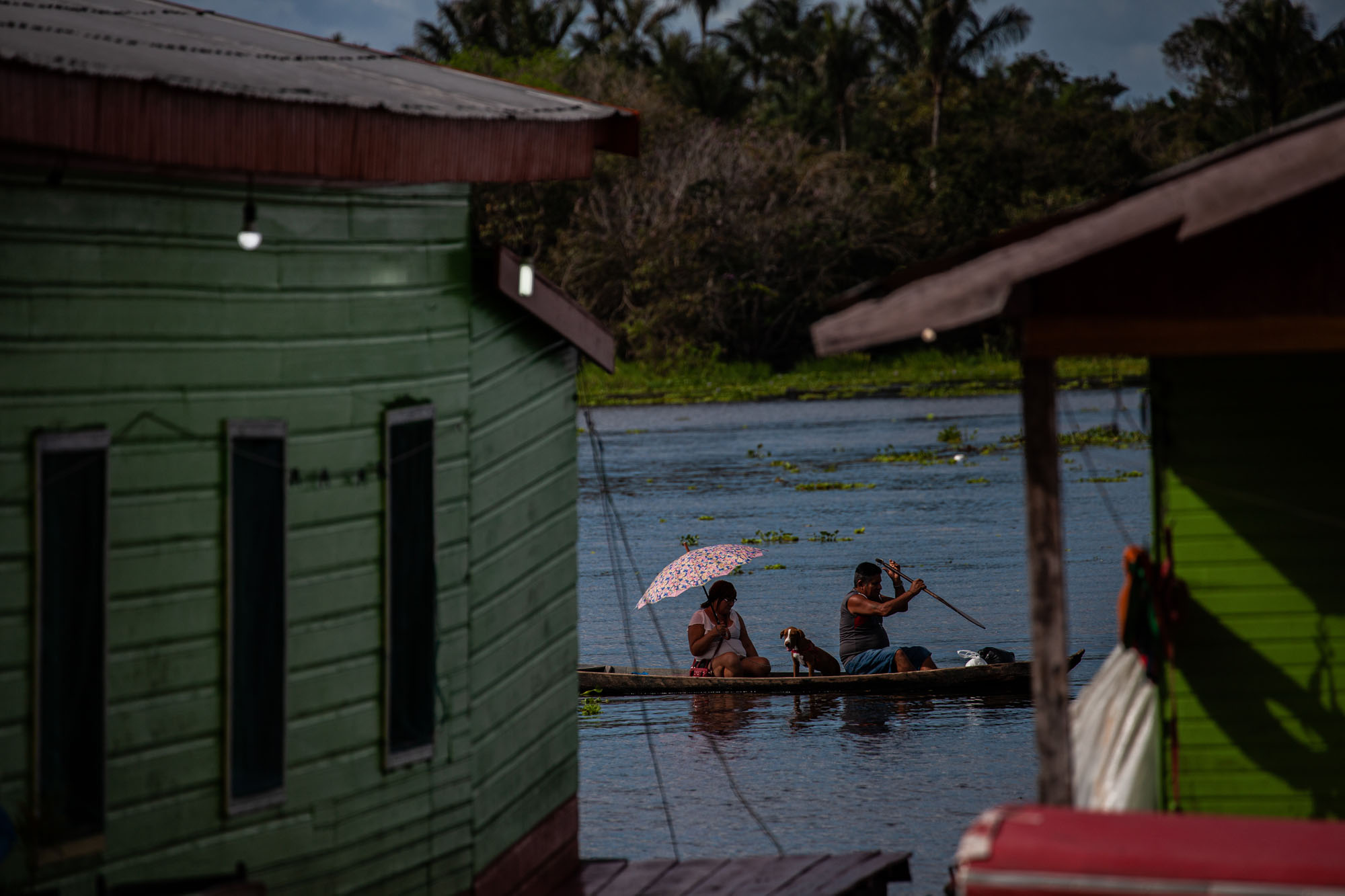 Em Iranduba (AM), família de ribeirinhos navega o rio Negro próximo da vila do Cacau Pirêra: cheia do Amazonas e seus afluentes ameaçam comunidades (Foto: Raphael Alves/Amazônia Real