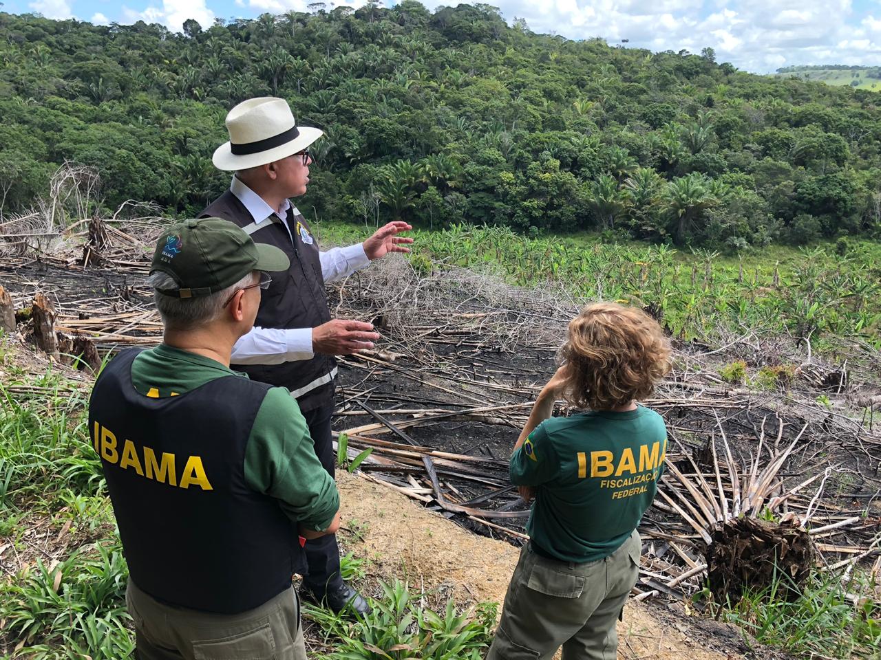 Operação coordenada pelo Ministério Público para combater desmatamento da Mata Atlântica em Alagoas: estado reduz desflorestamento no bioma (Foto: MPAL - 16/09/2019)