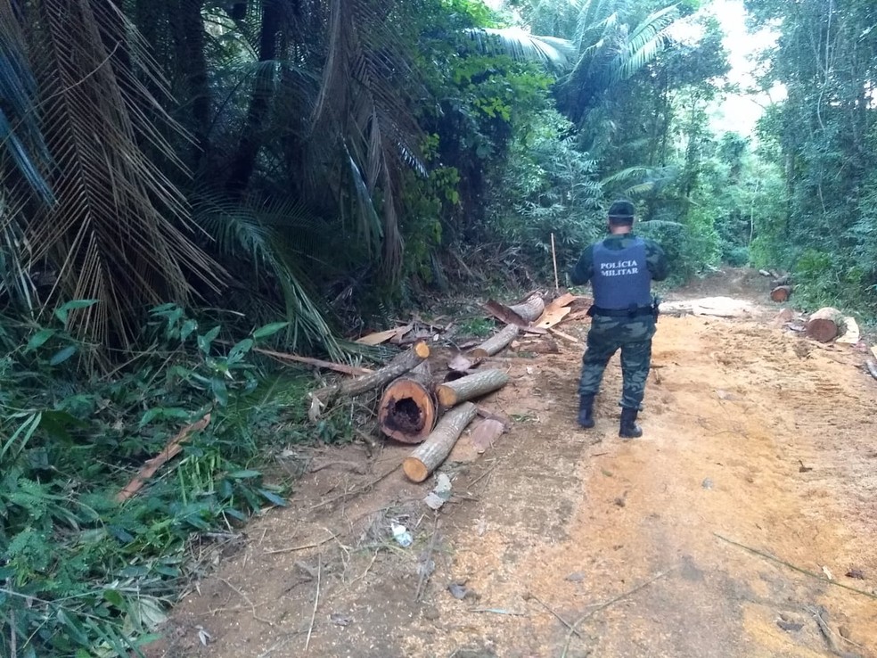 Operação da polícia ambiental do Espírito Santo contra o desmatamento na Mata Atlântica: aumento de mais de 400% da área desflorestada no estado (Foto: SESP/ES - 07/07/2020)