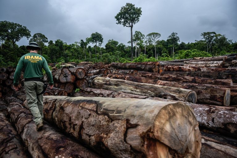 Carga de madeira ilegal apreendida em operação do Ibama: autos de infração, multas e embargos em queda no governo Bolsonaro (Foto: Ibama/Agencia Brasil)