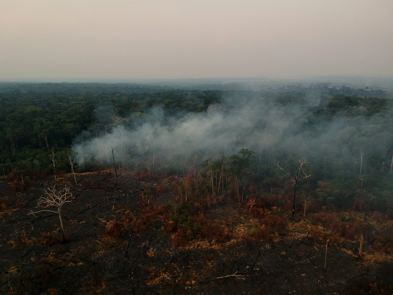 Área de floresta desmatada e queimada perto de Apuí, no sudoeste do Amazonas: para ambientalistas, flexibilização do licenciamento ameaça patrimônio natural (Foto: Bruno Kelly/Amazônia Real - 09/08/2020)