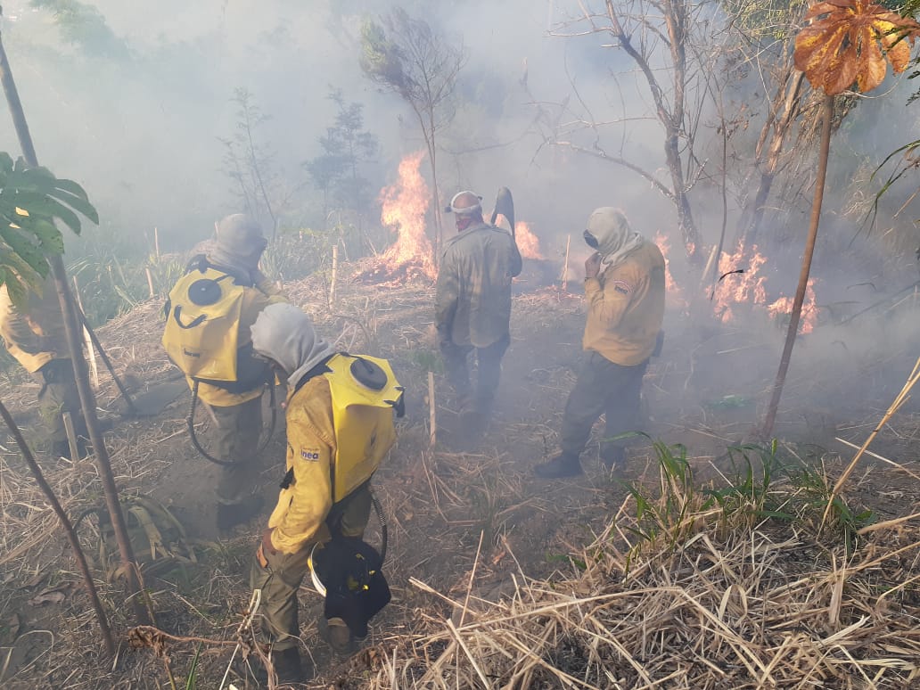 Equipe de combate á incêndio do Inea enfrenta o fogo no Parque Estadual da Pedra Branca: pandemia afastou visitas da Trilha Transcarioca e incidência de queimadas e desmatamento aumentou (Foto: Inea/Divulgação)