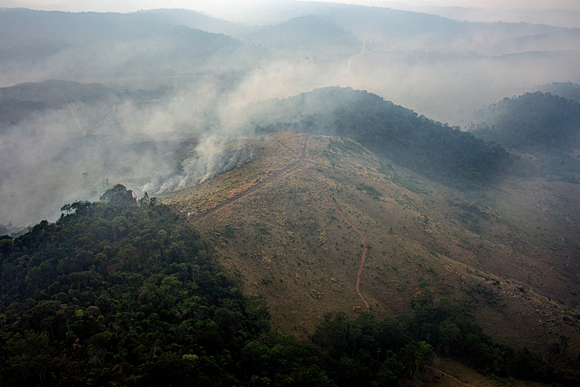 Desmatamento e focos de incêndio no sudoeste do Pará: carta de organizações alerta investidores estrangeiros sobre pauta antiambiental no Congresso (Foto Marizilda Cruppe/Amazon Watch/Amazônia Real - 17/09/2020)