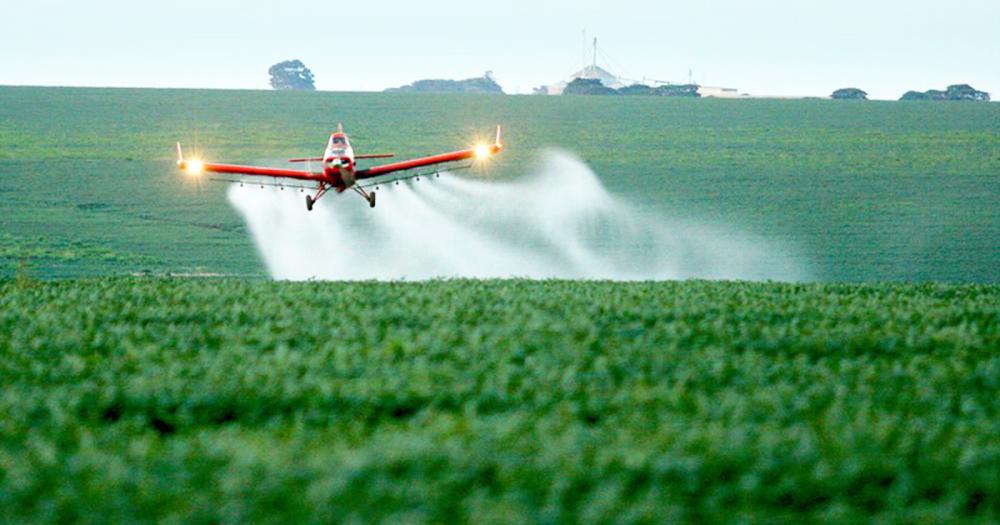 Dos relatos à ciência: por que é tão difícil comprovar impactos de agrotóxicos