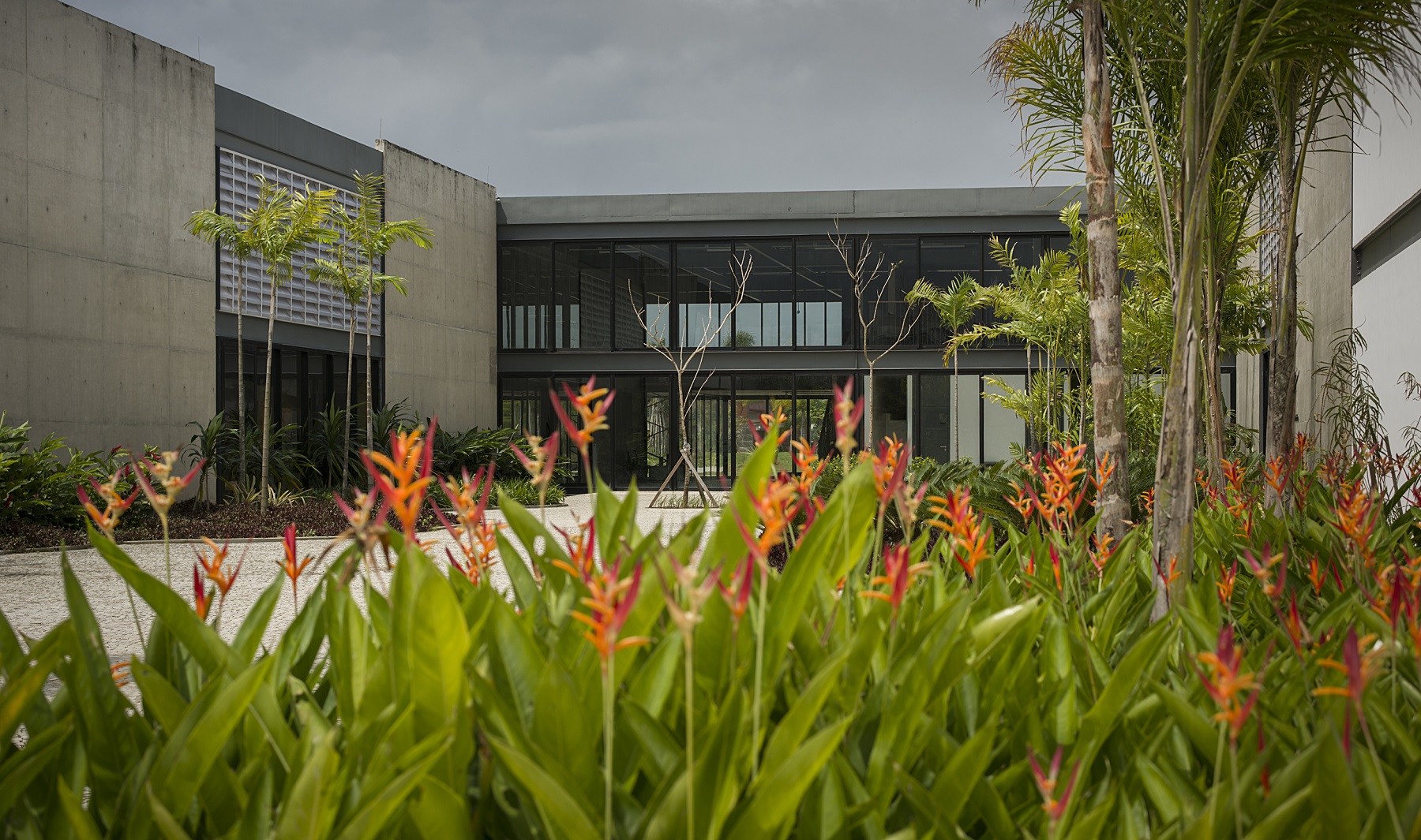 Museu do Pontal