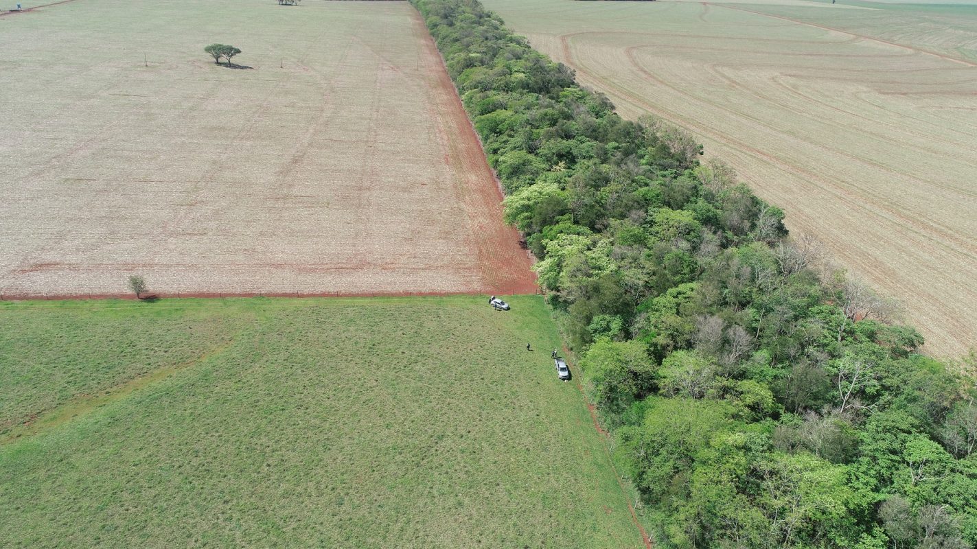 O corredor ecológico, a soja, o pasto
