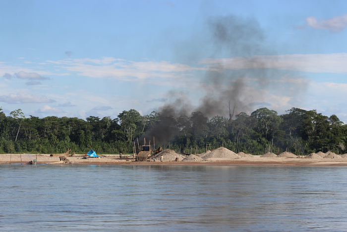 Garimpeiros usam fogo para separar garimpo, usado na mineração, do ouro: partículas de metal tóxico em árvores e pássaros (Foto: Melissa Marchese / Duke University)