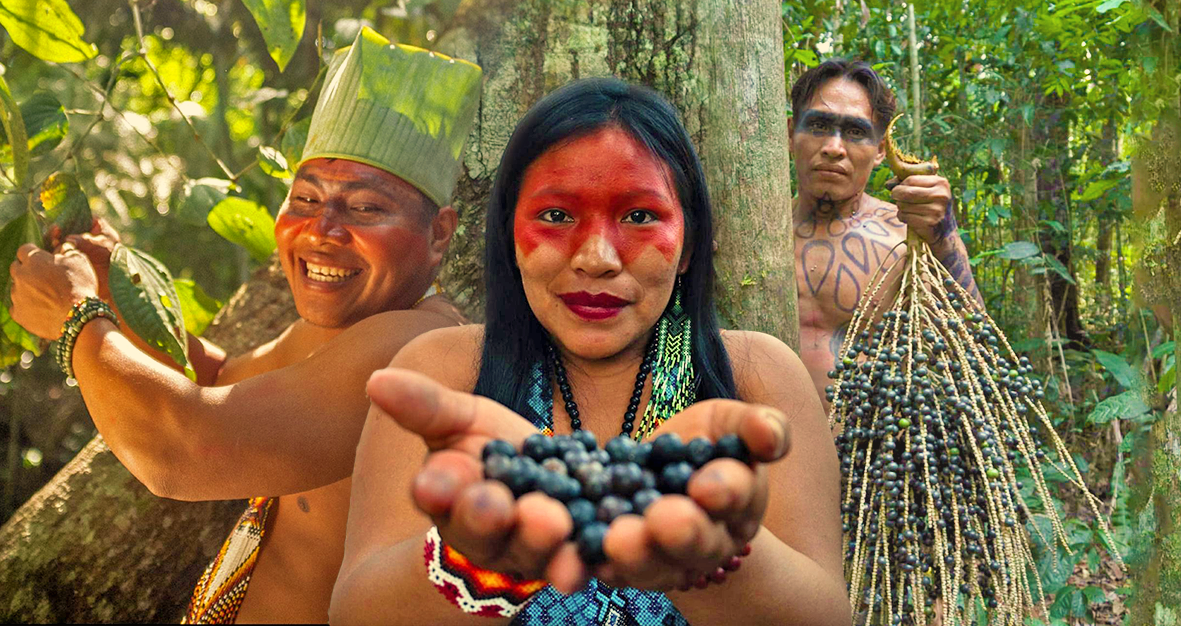 yawanawa_indígenas
