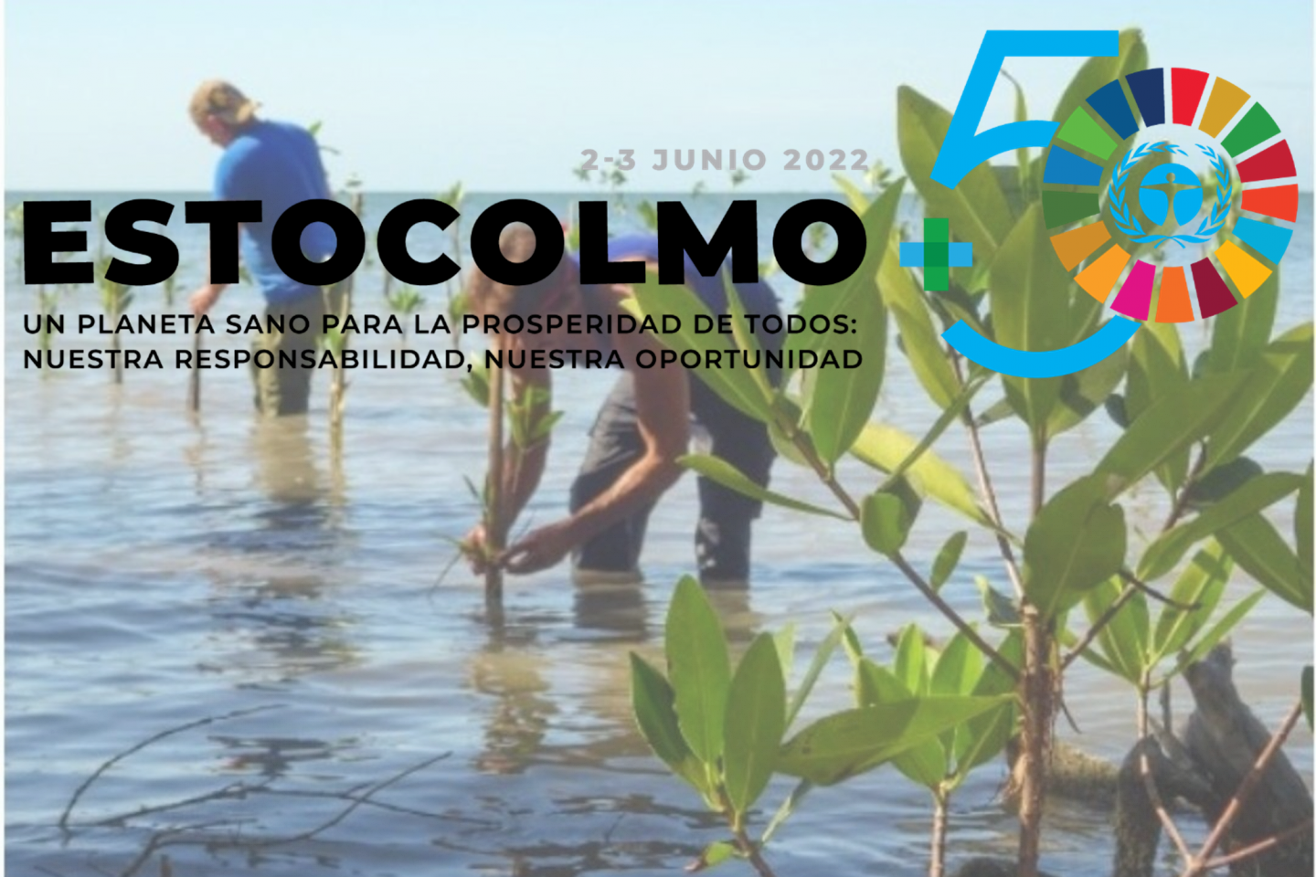 Cinco décadas de Meio Ambiente