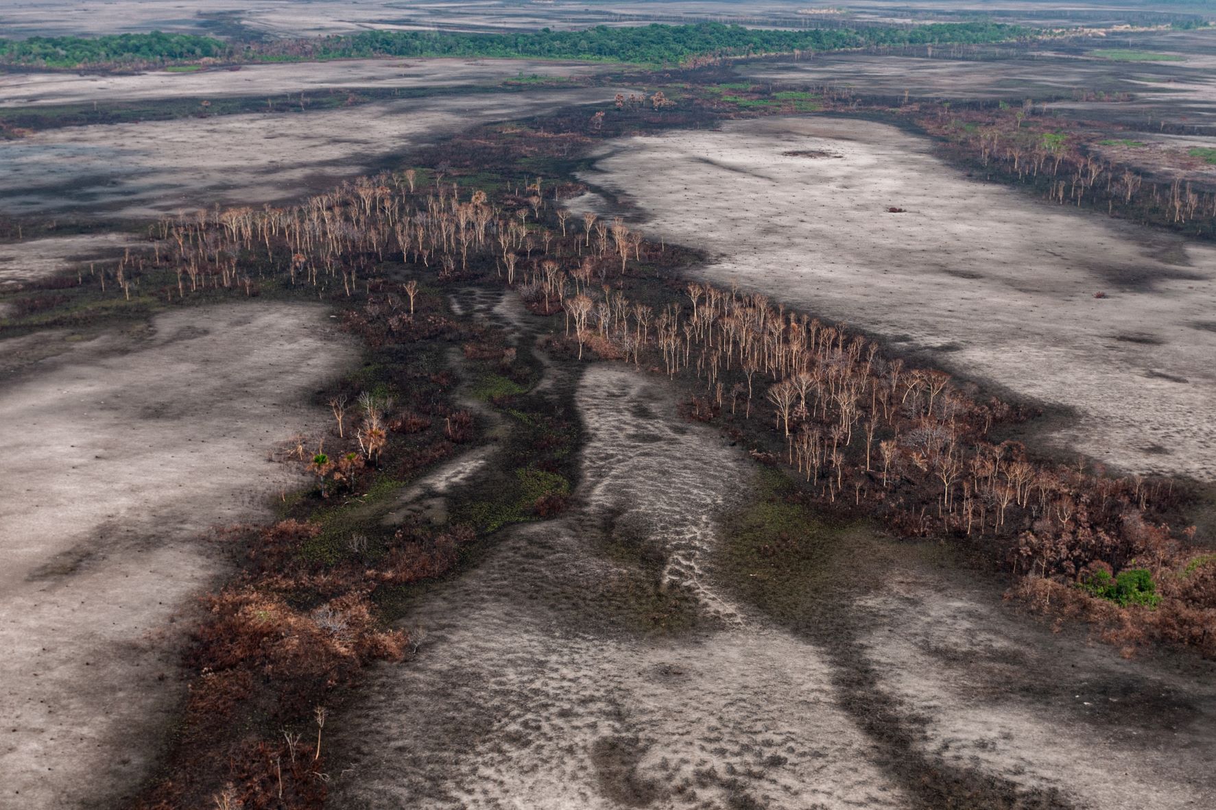 Desmatamento e queimada flagrados pelo Ibama no Amazonas: ONGs cobram R$ 247 milhões de desmatadores por dano ambiental (Foto: Vinicius Mendonça/Ibama - 19/08/2019)