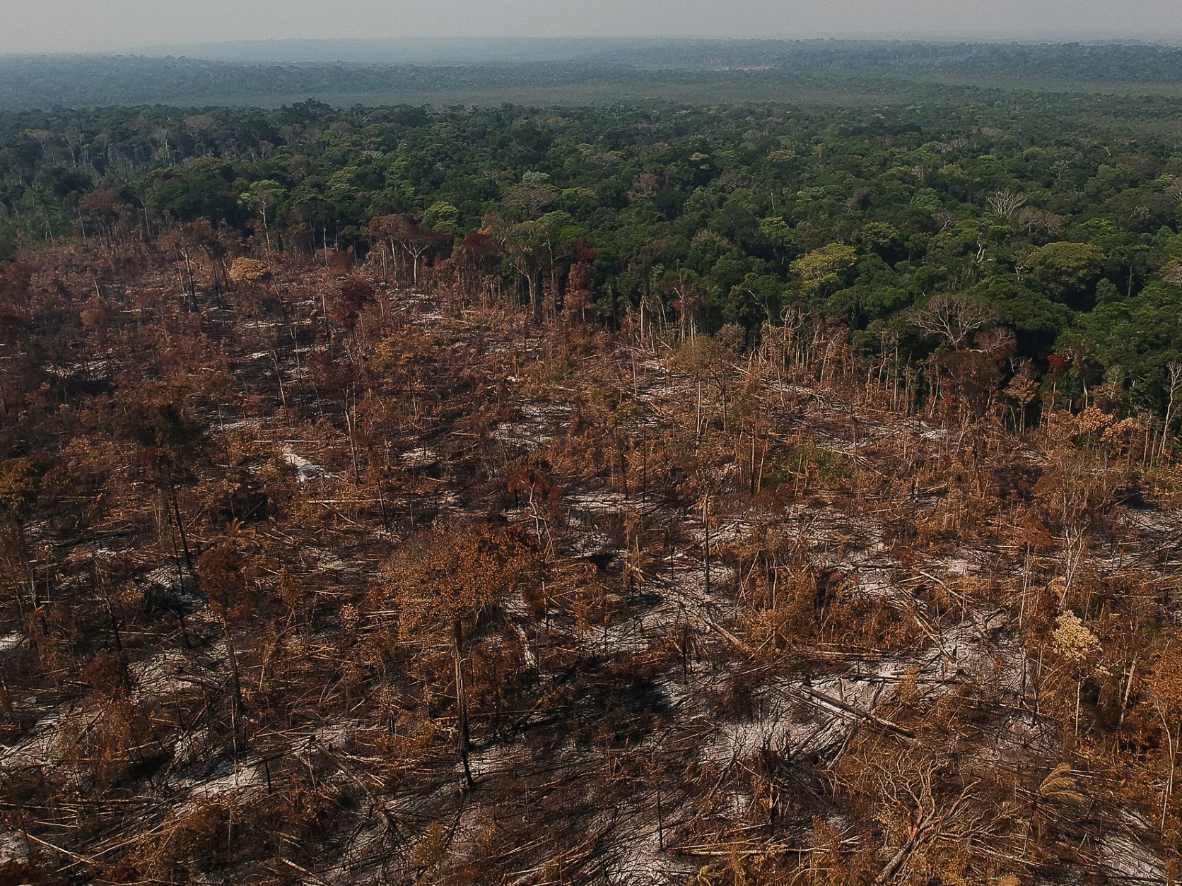 Área desmatada e queimada no município de Apuí, Amazonas: desmatamento aumentou 20% (Foto: Bruno Kelly / Amazônia Real - 09/08/2020)