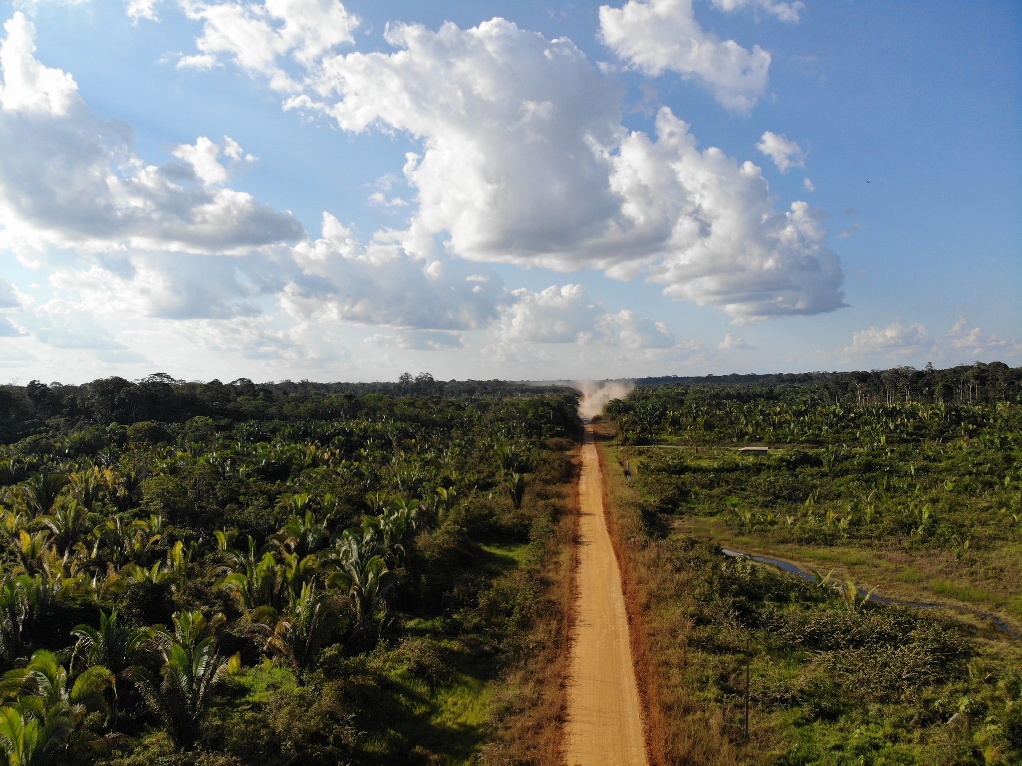recho da BR-319, no Amazonas, previsto para ser reconstruído e asfaltado: licença prévia desrespeitou recomendações do próprio Ibama (Foto: Idesam - 02/07/2018)