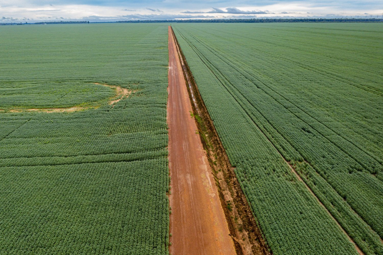 Campos de soja gigantes na região de Sinop, no Mato Grosso. O agronegócio responde por mais 20% do PIB nacional. Foto Michael Runkel/ Robert Harking via AFP