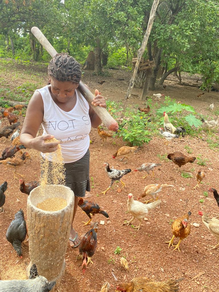 Mulher cuidando da criação no quilombo Ribeirão da Mutuca. (Foto: Acorquirim/ Divulgação)